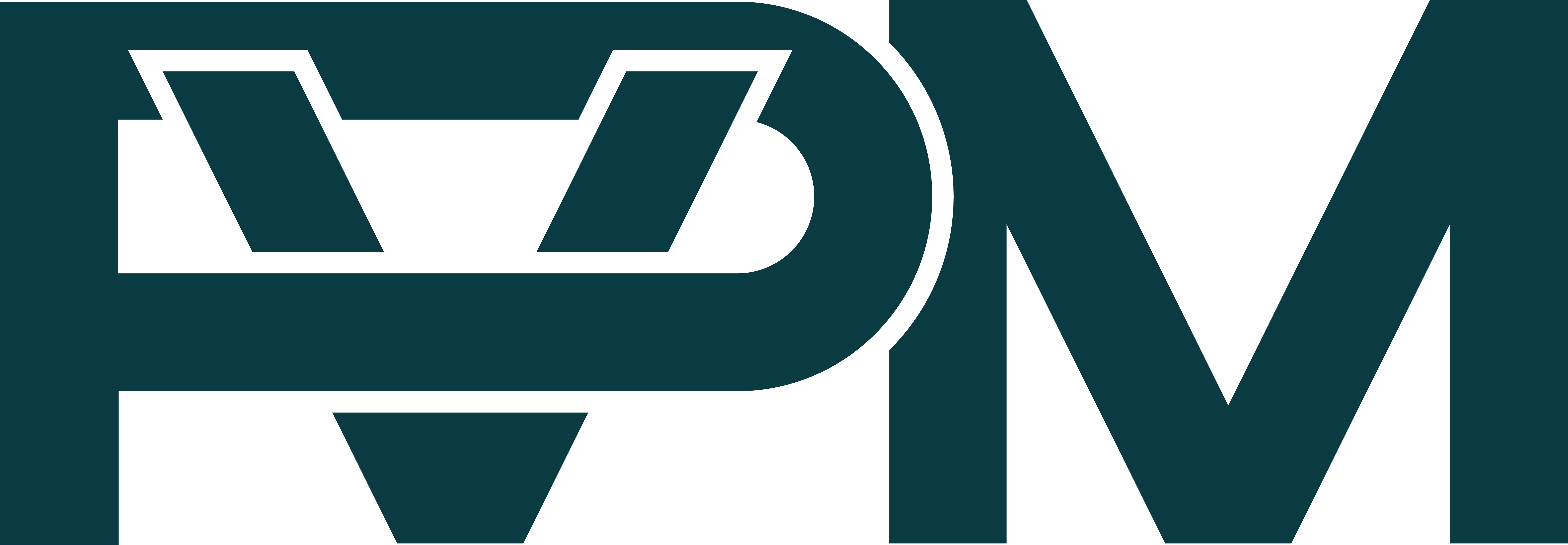pvm logo parameta solutions
